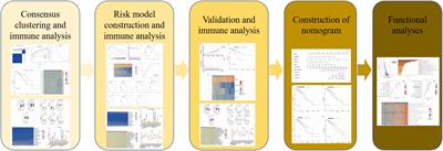 A Novel Risk Model Based on Lipid Metabolism-Associated Genes Predicts Prognosis and Indicates Immune Microenvironment in Breast Cancer